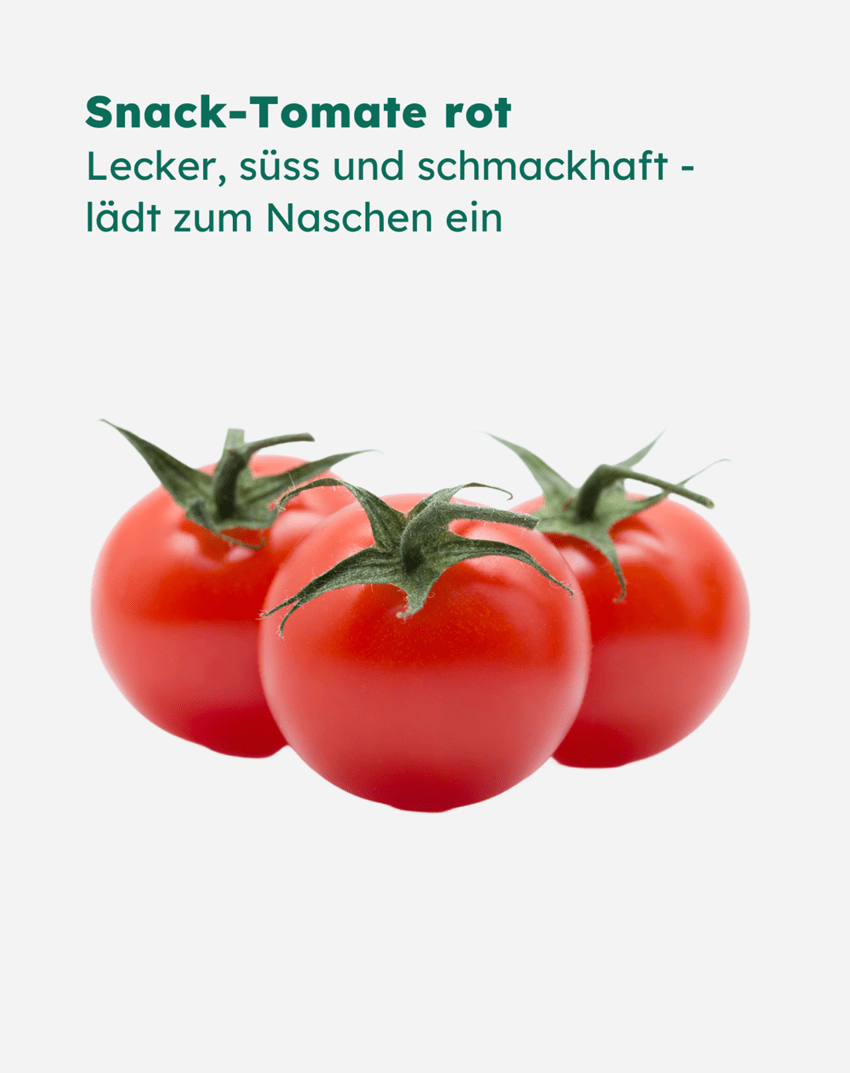 Snack-Tomaten rot